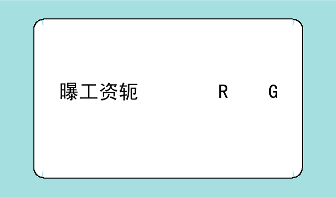 曝工资软件电脑版