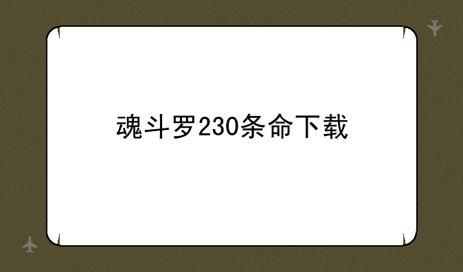 魂斗罗230条命下载