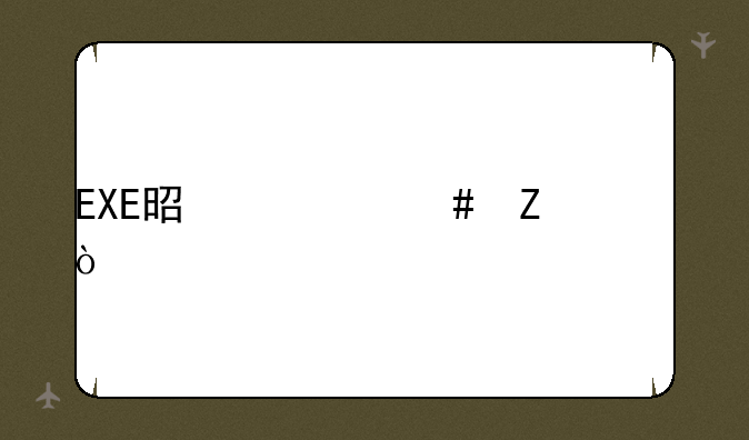 EXE是什么文件？