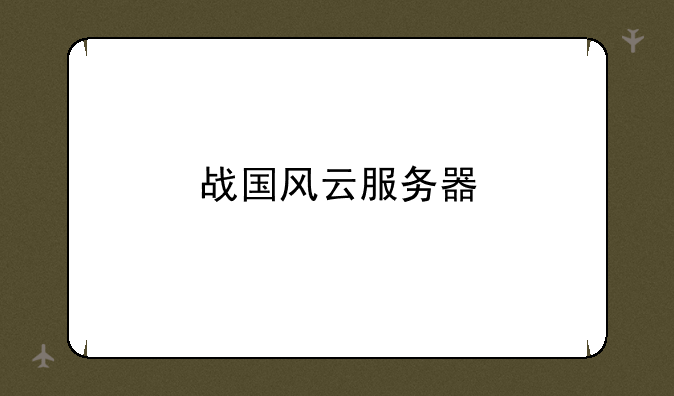 战国风云服务器