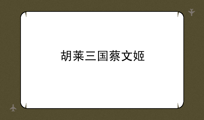 胡莱三国蔡文姬