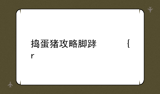 捣蛋猪攻略脚踏实地