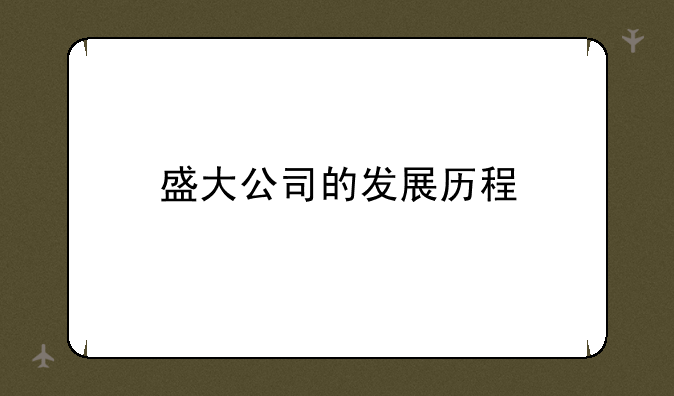 盛大公司的发展历程