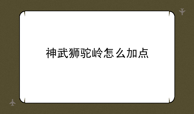 神武狮驼岭怎么加点