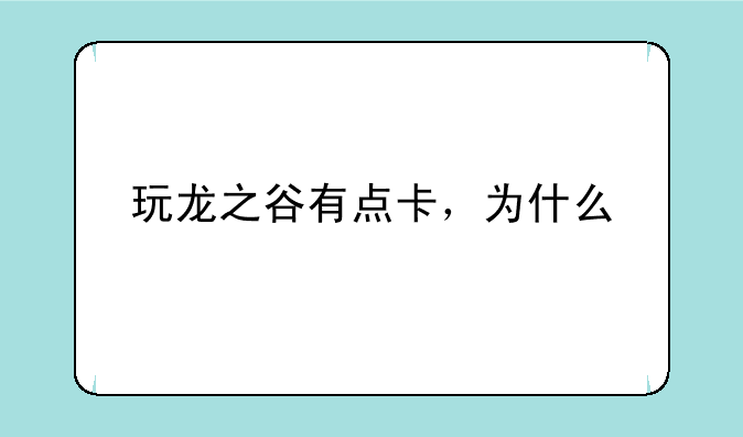 玩龙之谷有点卡，为什么