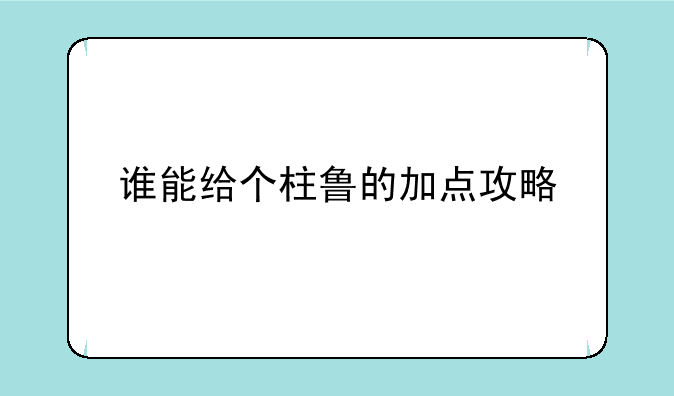 谁能给个柱鲁的加点攻略