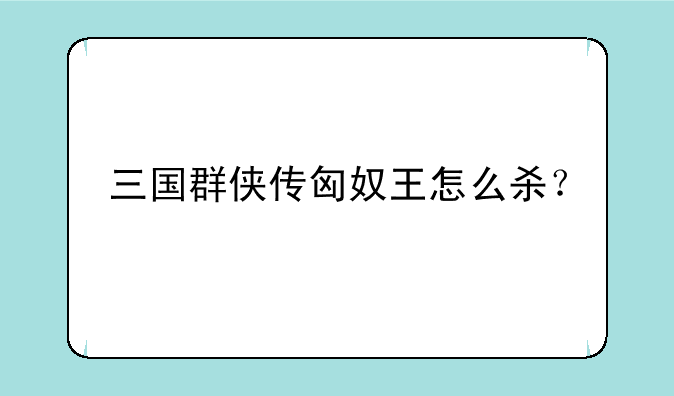 三国群侠传匈奴王怎么杀？