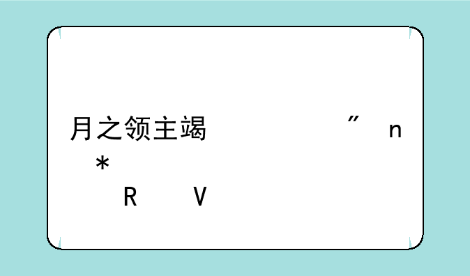 月之领主端游刷图加点攻略