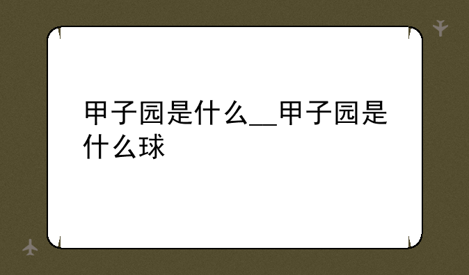 甲子园是什么__甲子园是什么球