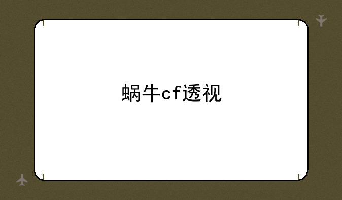 蜗牛cf透视