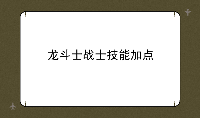 龙斗士战士技能加点