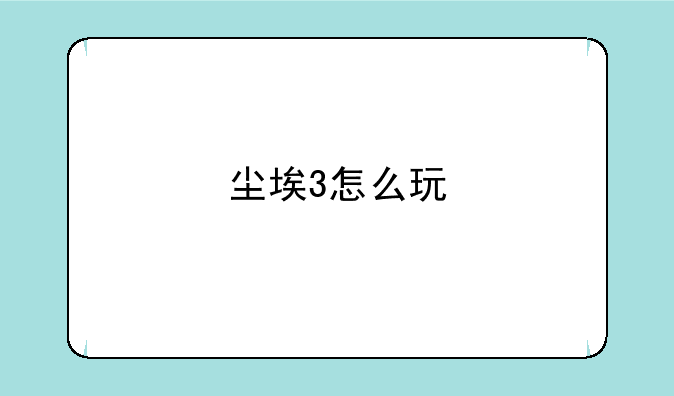 尘埃3怎么玩