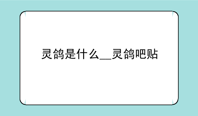 灵鸽是什么__灵鸽吧贴